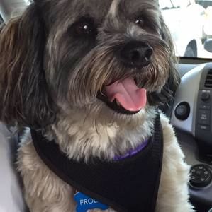 Meet your Posher, Nina